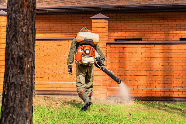 Trusted Cockroach Control service in New Freedom, PA - Nex Pest Control